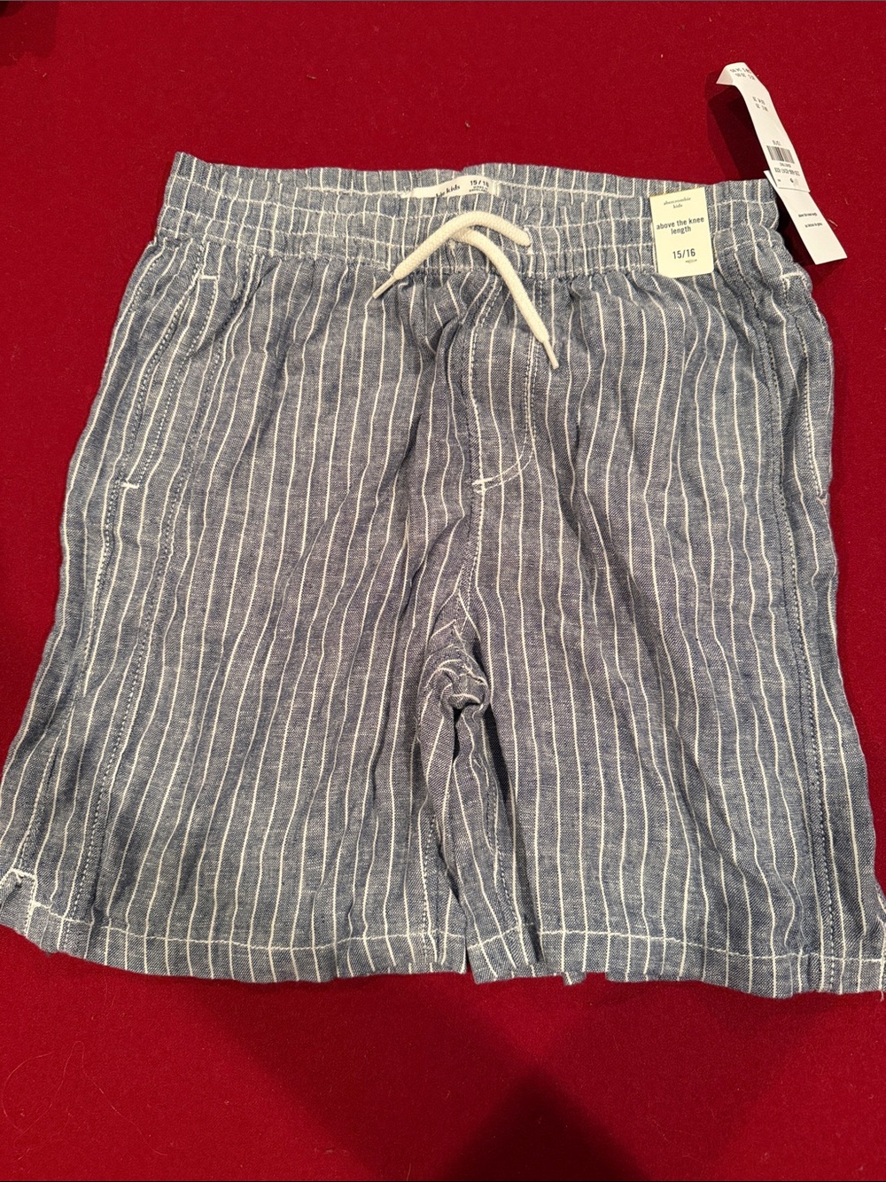 Abercrombie Blue Striped Shorts with Drawstring